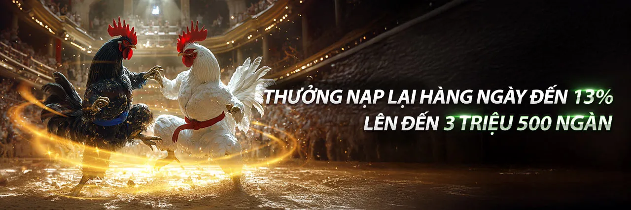 Đá gà C3 ngày 26 tháng 10 - Sân đấu hùng tráng
